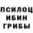 Псилоцибиновые грибы Cubensis Tyko