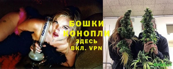 сатива Надым