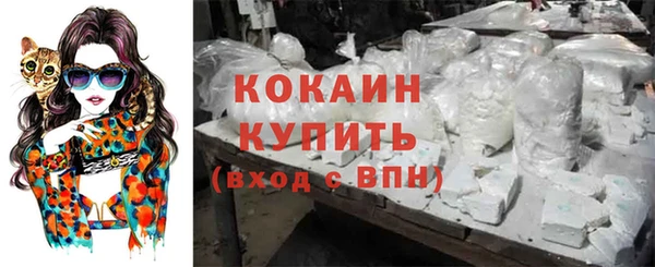 сатива Навашино